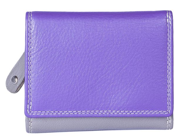 Begg Exclusive Grafton Purple multi Womens purse 3273-79