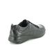 Alpina Lacing Shoes - Black leather - 0R82/1 ROYAL G TEX