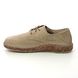 Birkenstock Lacing Shoes - Taupe suede - 1017812/ GARY