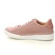 Clarks Lacing Shoes - Pink suede - 658384D CRAFT CUP LACE