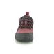 Clarks Walking Shoes - Wine nubuck - 513994D TRI PATH LO GORE TEX