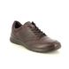 ECCO Comfort Shoes - Brown leather - 511734/55738 IRVING
