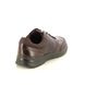 ECCO Comfort Shoes - Brown leather - 511734/55738 IRVING