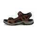ECCO Sandals - Chocolate brown - 069564/56401 OFFROAD MENS