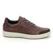ECCO Trainers - Brown leather - 470474/60508 SOFT 7 MENS