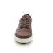 ECCO Trainers - Brown leather - 470474/60508 SOFT 7 MENS