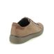 ECCO Comfort Shoes - Brown nubuck - 504574/55778 STREET TRAY GTX