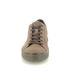 ECCO Comfort Shoes - Brown nubuck - 504574/55778 STREET TRAY GTX