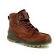 ECCO Outdoor Walking Boots - Brown multi - 831704/52699 TRACK 25 BOOT GORE-TEX