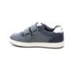 Geox Trainers - Navy leather - B2543A/C4211 TROTTOLA INF
