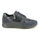 IMAC Lacing Shoes - Navy suede - 7980/7171009 ALFALACE 05