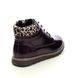 Lotus Lace Up Boots - Purple - ULS333/94 LEXIS NAOMI SYC