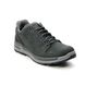 Lowa Walking Shoes - Dark grey nubuck - 310812-0937 LOCARNO GTX MENS
