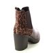 Marco Tozzi Ankle Boots - Leopard print - 25414/41/387 SAGA   CHELSEA
