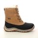 Westland Winter Boots - Brown - 178732/781300 VENTURA 32 TEX