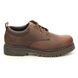 Skechers Comfort Shoes - Brown - 204035 ALLEY CATS MESAGO