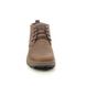 Skechers Casual Shoes - Brown - 210141 EVENSTON HI