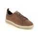 Skechers Comfort Shoes - Chocolate brown - 210450 PERTOLA RUSTON