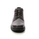 Skechers Chukka Boots - Cocoa Brown - 204394 SEGMENT 2.0