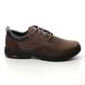 Skechers Comfort Shoes - Brown - 204516 SEGMENT RILAR 2