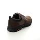 Skechers Comfort Shoes - Brown - 204516 SEGMENT RILAR 2