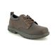 Skechers Comfort Shoes - Brown - 64260 SEGMENT RILAR RELAXED FIT