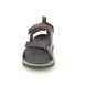 Skechers Sandals - Chocolate brown - 205112 TRESMEN