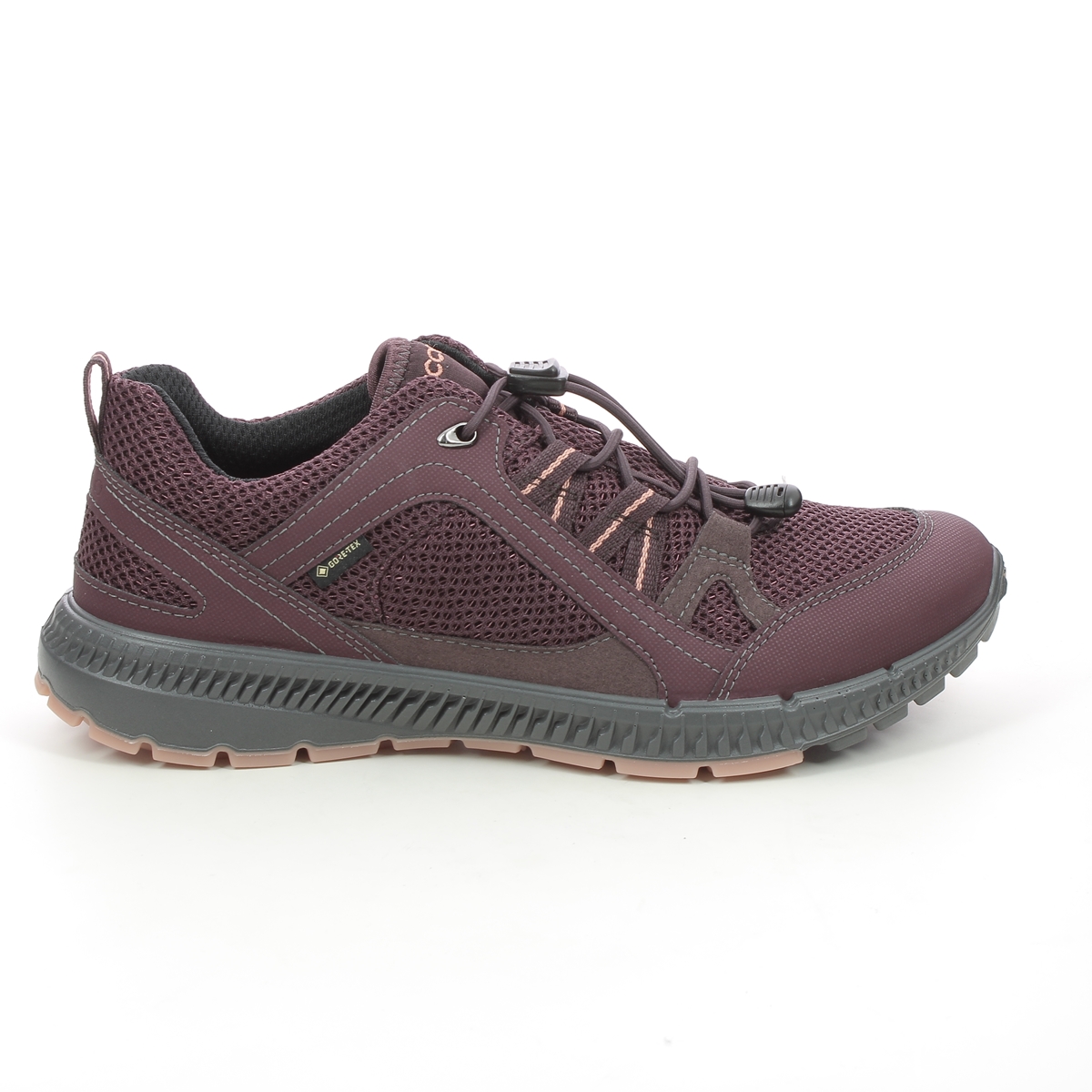 Terracruise Gtx 843063-51502 Walking Shoes
